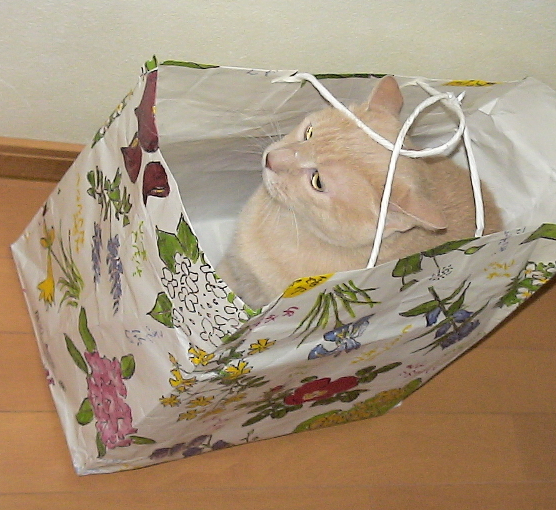 image5