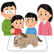 pet_kazoku_mitoru_dog