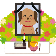 pet_osoushiki